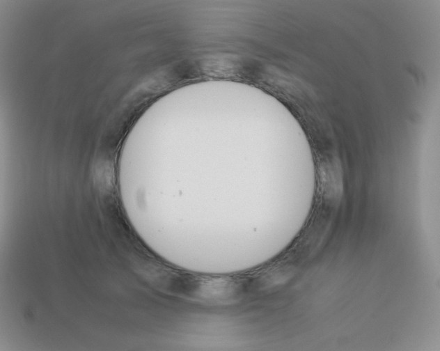 X0000113040705200910081211