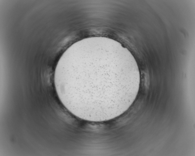 X0000113040712200910081211