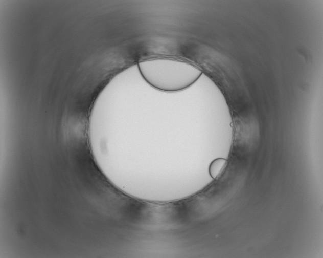 X0000113040713200910081211