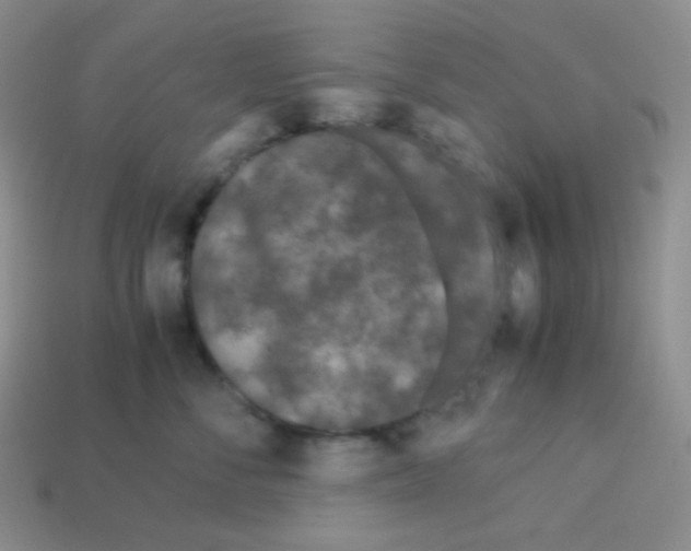 X0000113040716200910081211