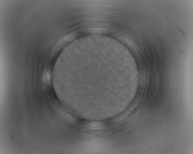 X0000113040718200910081211