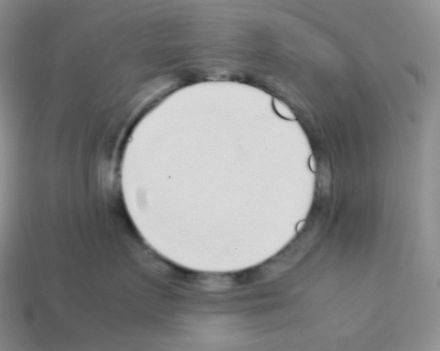 X0000113040719200910081211