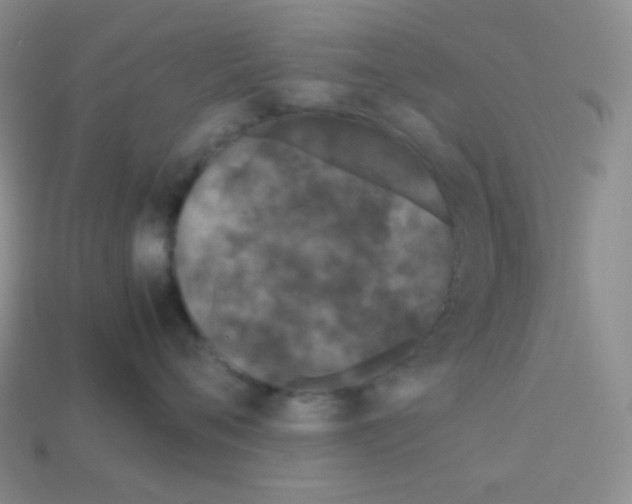 X0000113040720200910081211
