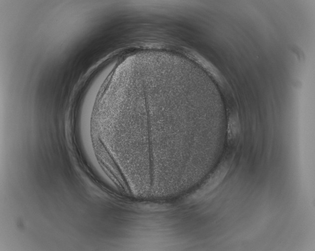 X0000113040722200910081210