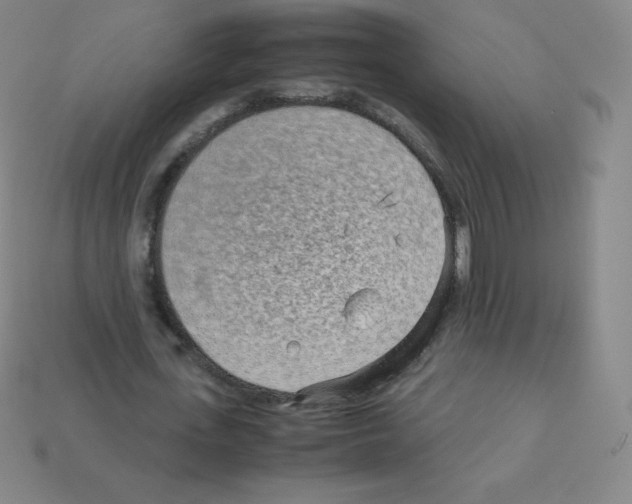 X0000113040723200910081210