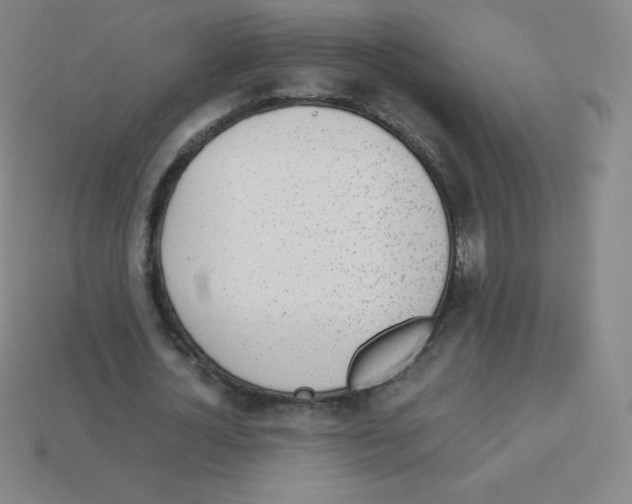 X0000113040724200910081210