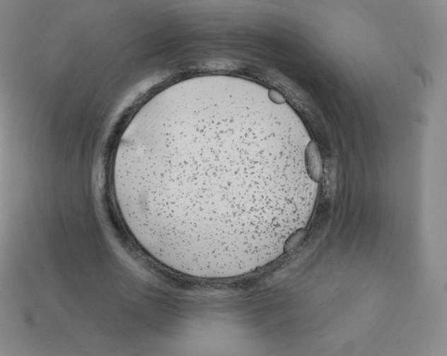 X0000113040726200910081210