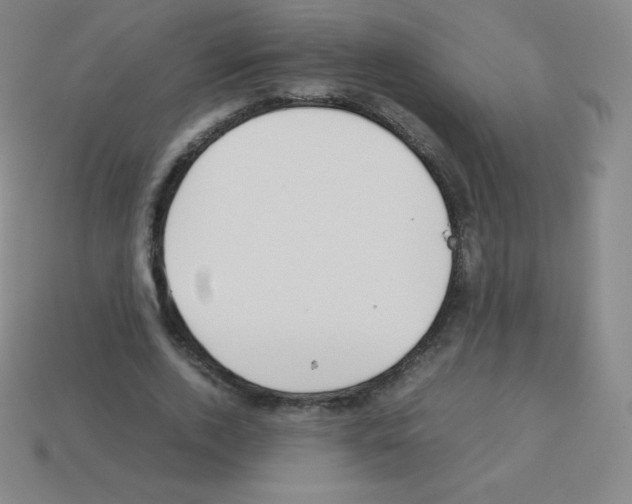 X0000113040728200910081210
