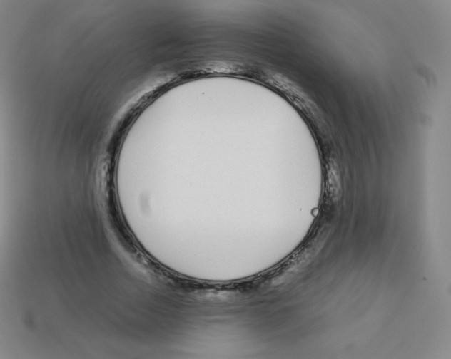 X0000113040730200910081210
