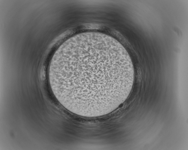 X0000113040731200910081210