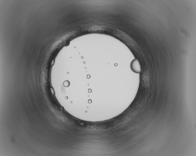 X0000113040732200910081210