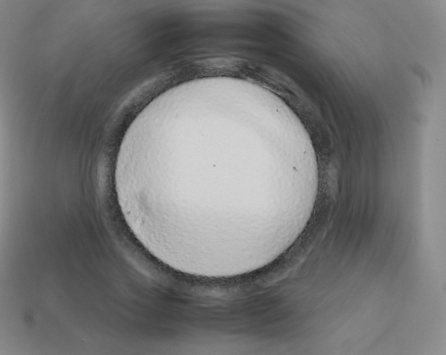 X0000113040733200910081210