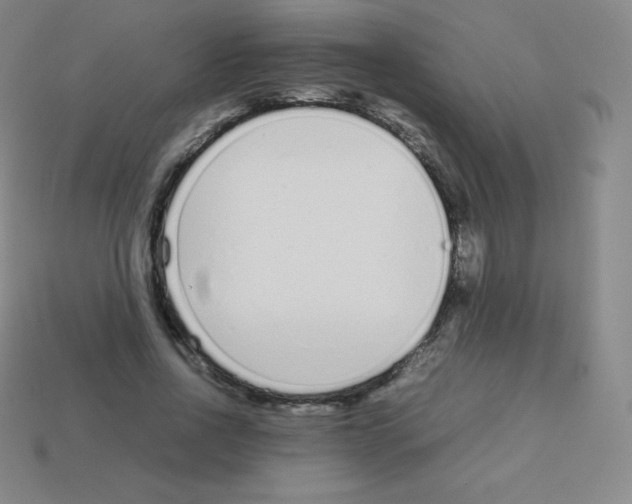 X0000113040734200910081210