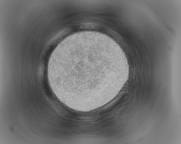 X0000113040735200910081211