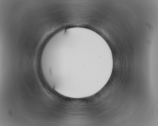 X0000113040736200910081211