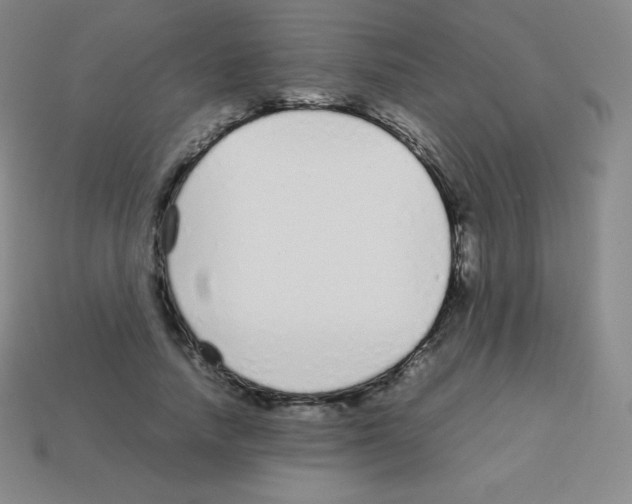 X0000113040738200910081211