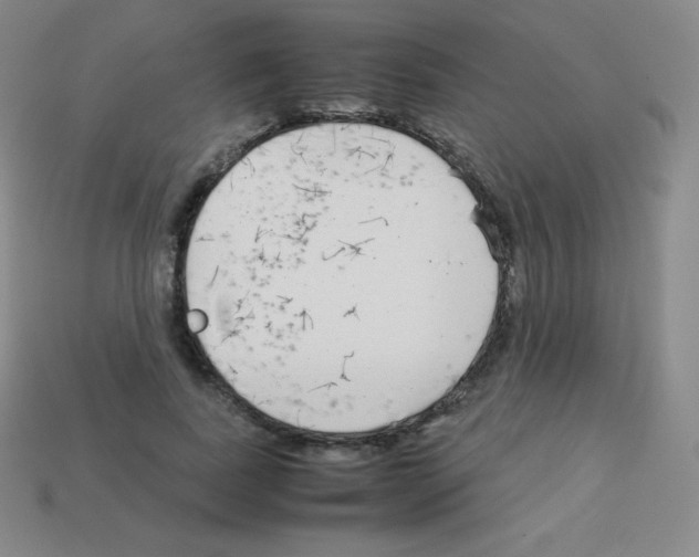 X0000113040739200910081211