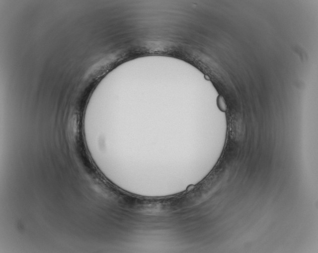 X0000113040740200910081211