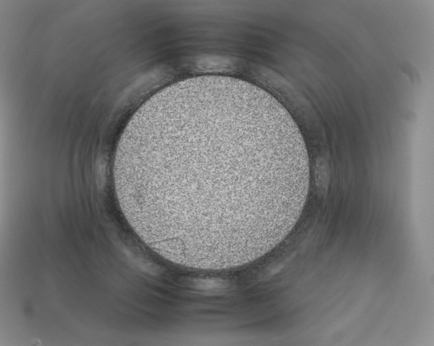 X0000113040741200910081211