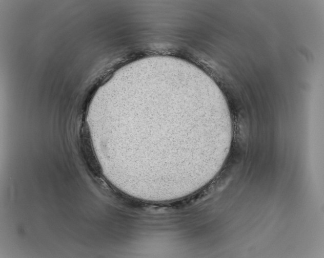 X0000113040742200910081211