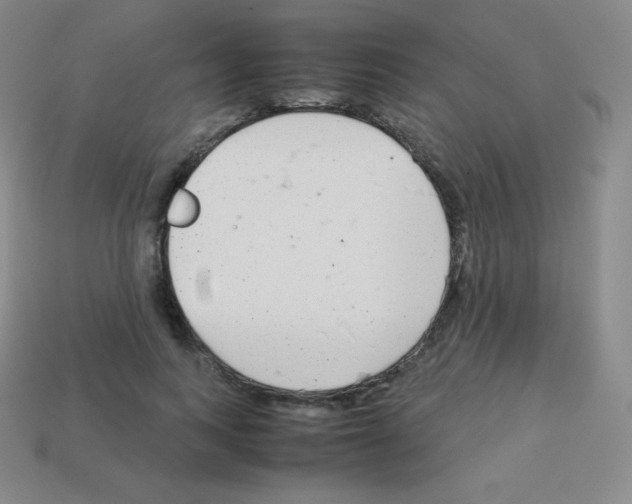 X0000113040743200910081211