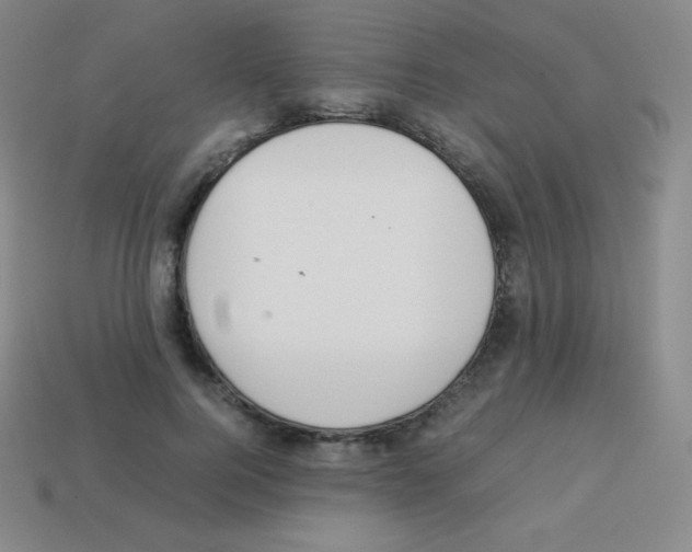 X0000113040744200910081211