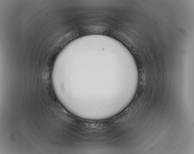 X0000113040745200910081211