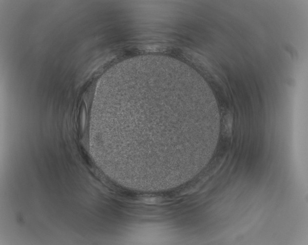 X0000113040746200910081211
