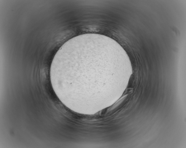 X0000113040747200910081211