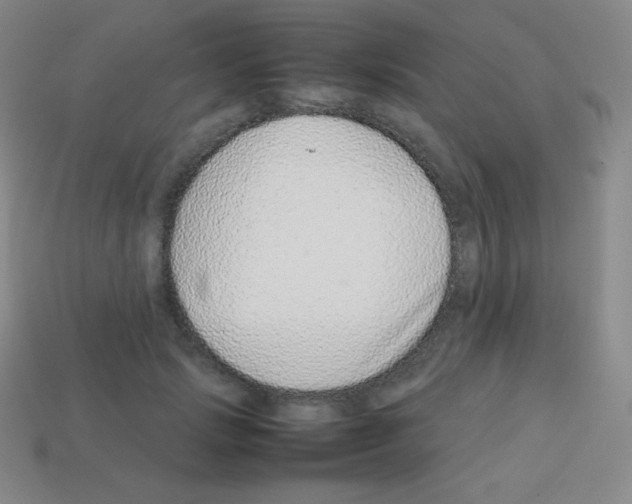 X0000113040749200910081211