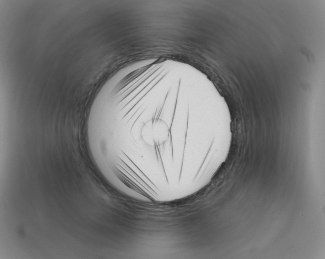 X0000113040750200910081211
