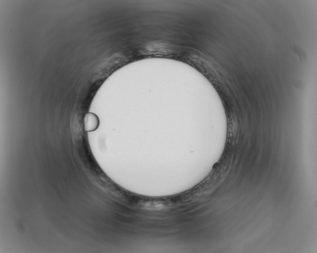 X0000113040751200910081211