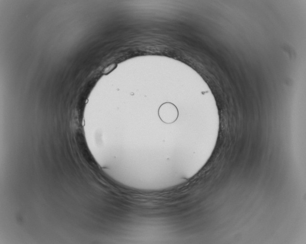 X0000113040752200910081211