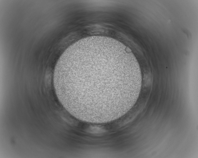 X0000113040753200910081211