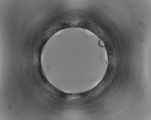 X0000113040754200910081211