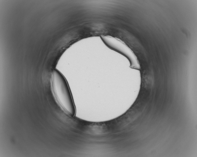 X0000113040756200910081211