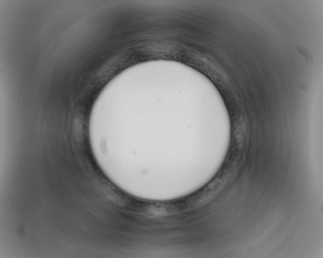 X0000113040757200910081211