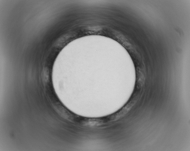 X0000113040758200910081211