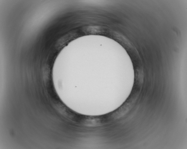 X0000113040760200910081211