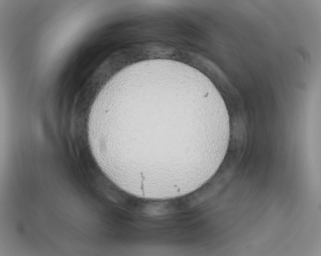 X0000113040761200910081211