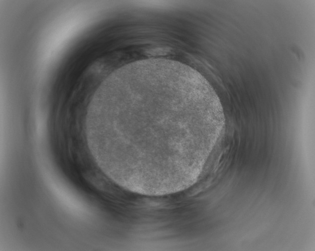 X0000113040763200910081211