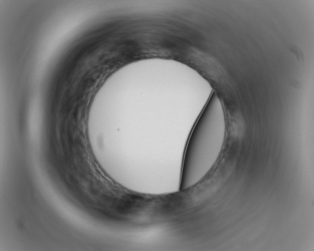 X0000113040764200910081211