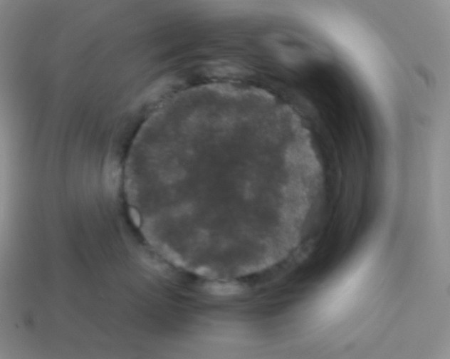 X0000113040767200910081211