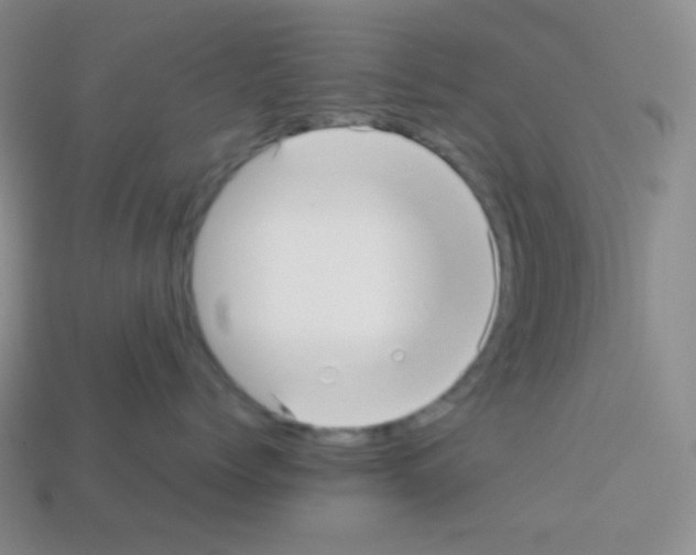 X0000113040768200910081211