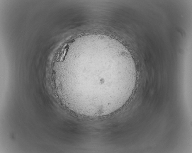 X0000113040769200910081210