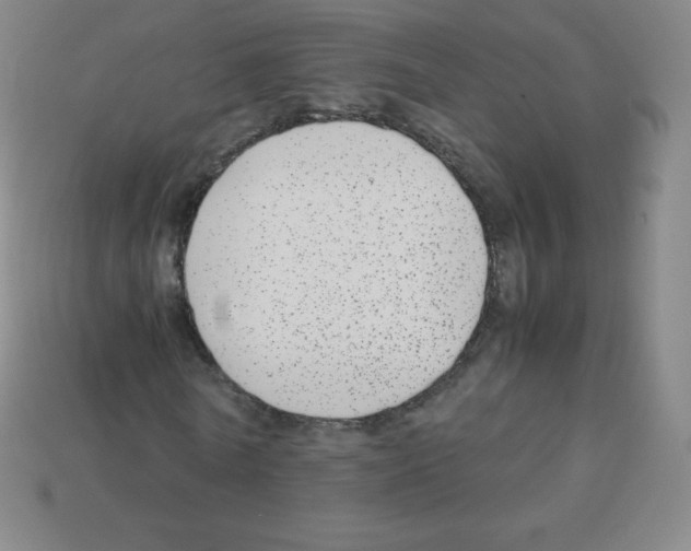 X0000113040770200910081210