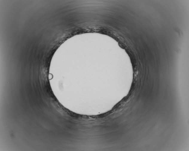 X0000113040772200910081210