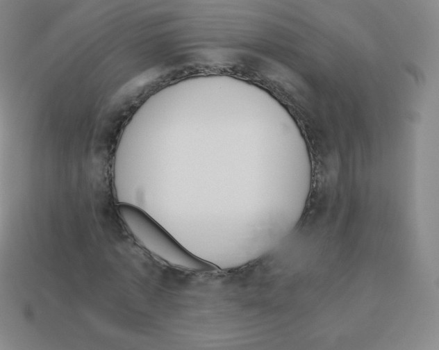 X0000113040773200910081210