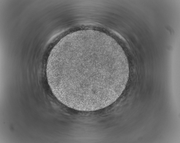 X0000113040775200910081210