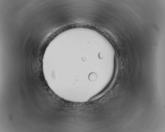 X0000113040776200910081210